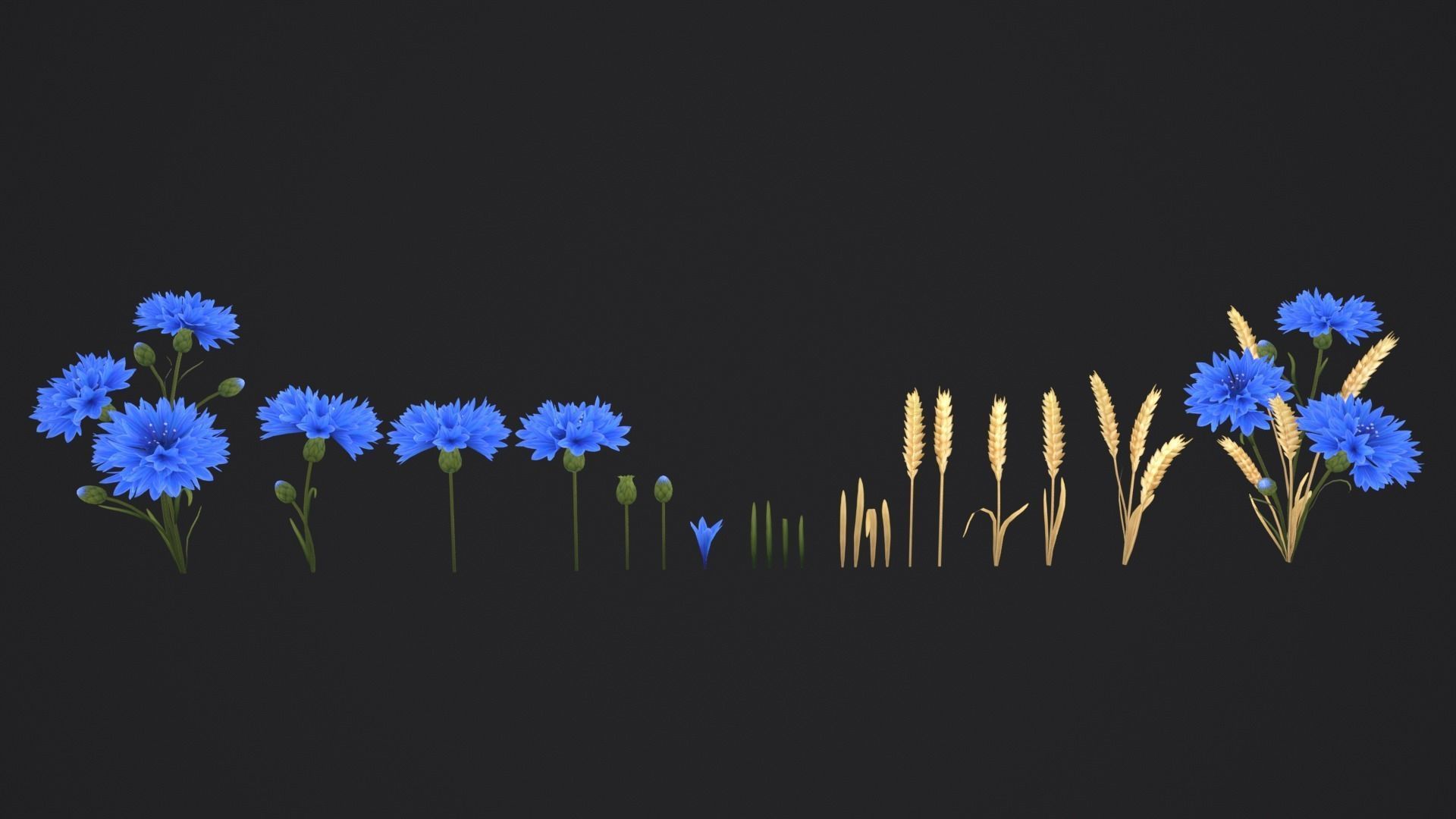 Stylized Cornflower and Wheat Low-poly 3D model_2