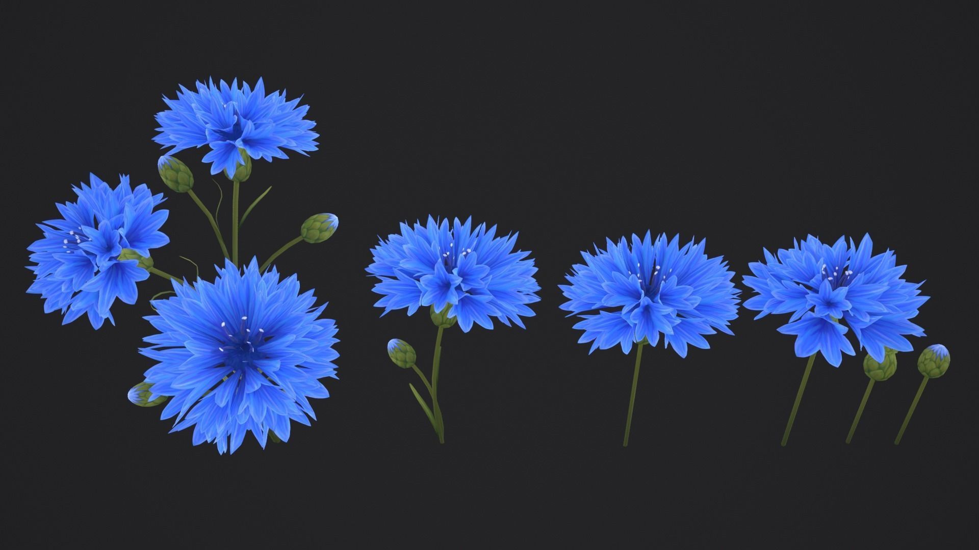 Stylized Cornflower and Wheat Low-poly 3D model_3