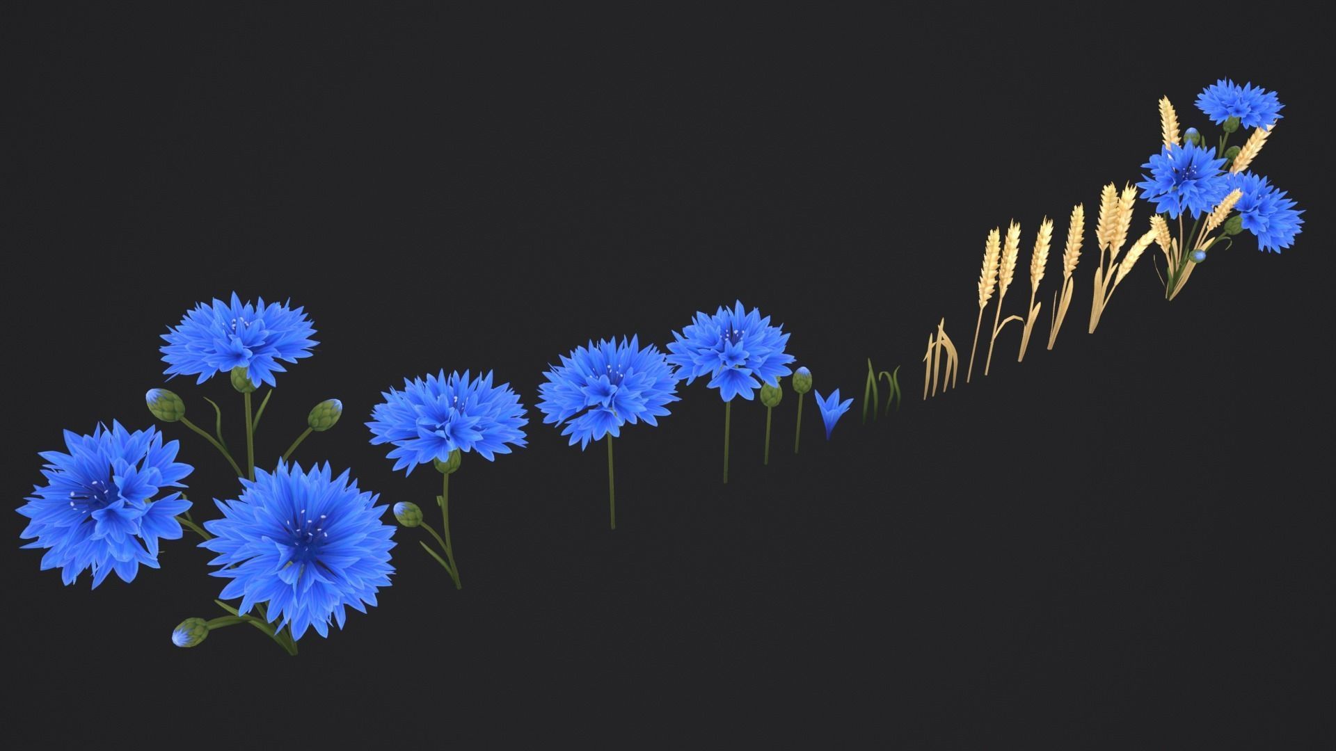 Stylized Cornflower and Wheat Low-poly 3D model_4