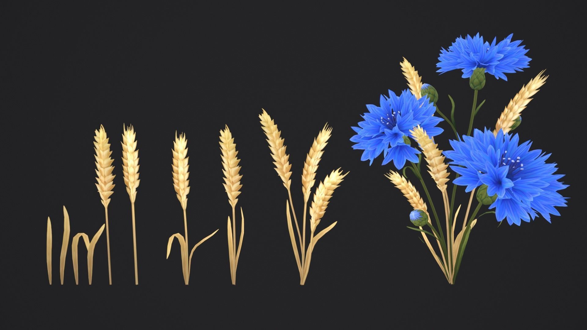 Stylized Cornflower and Wheat Low-poly 3D model_8