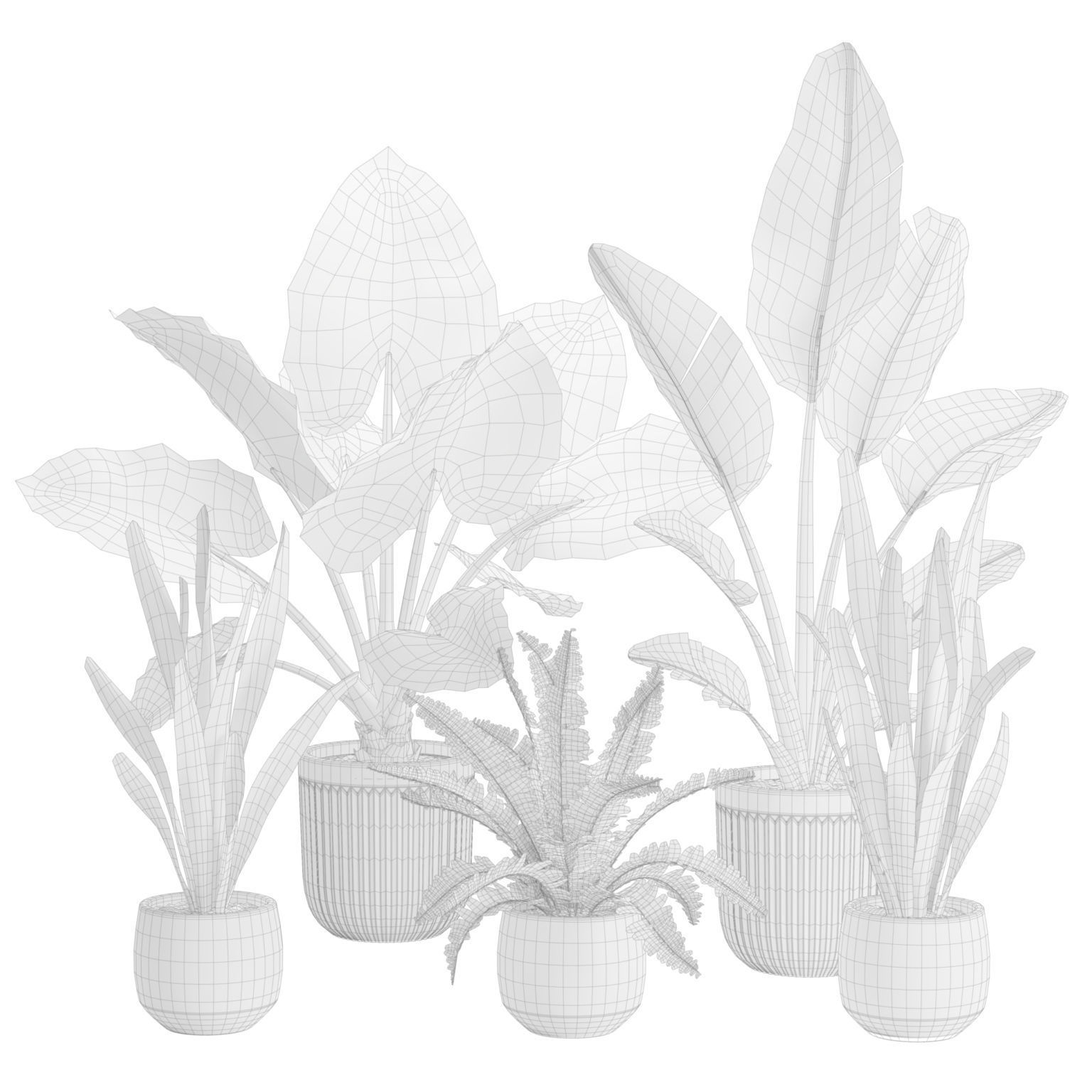 Indoor Plants Pack 46 3D model_2