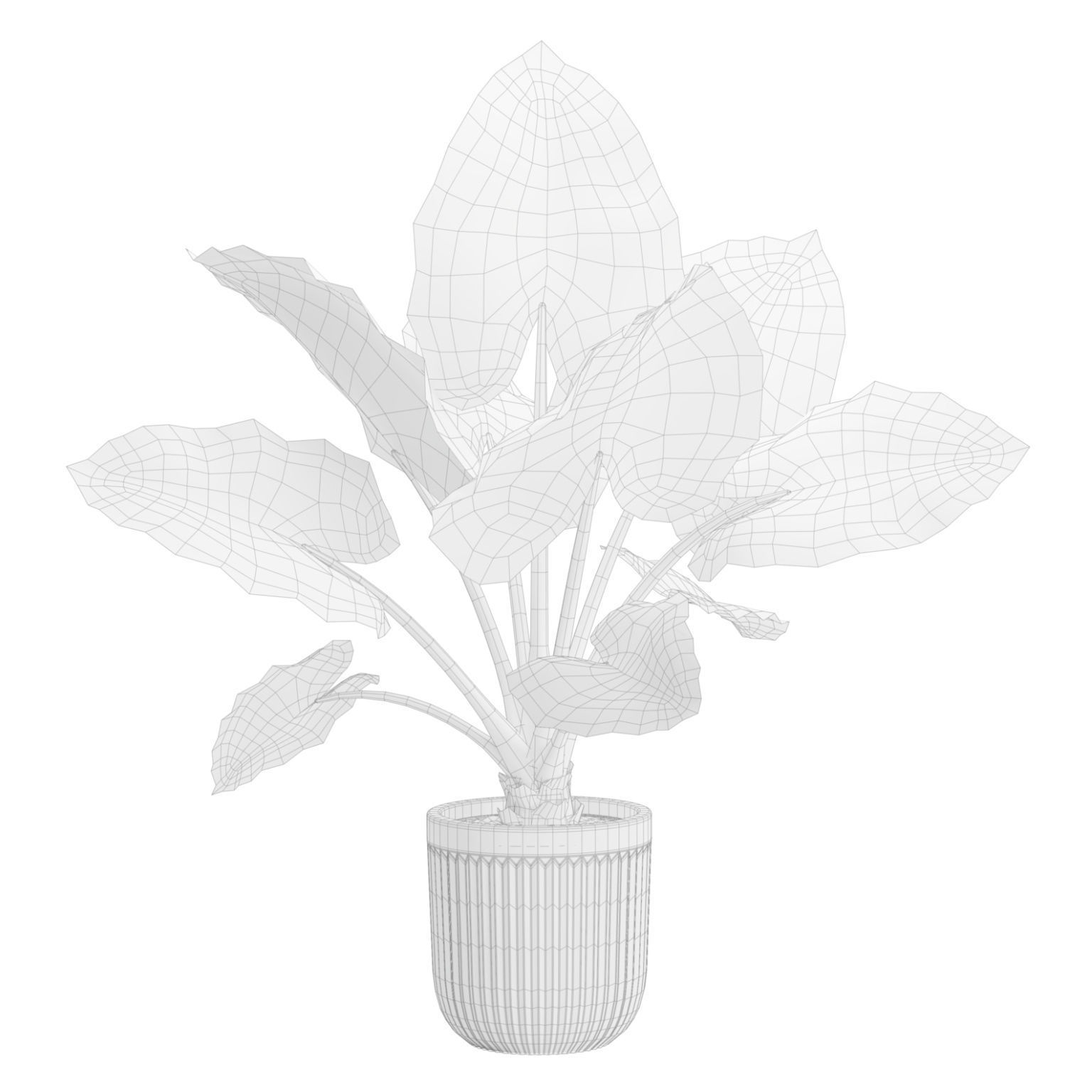 Indoor Plants Pack 46 3D model_4