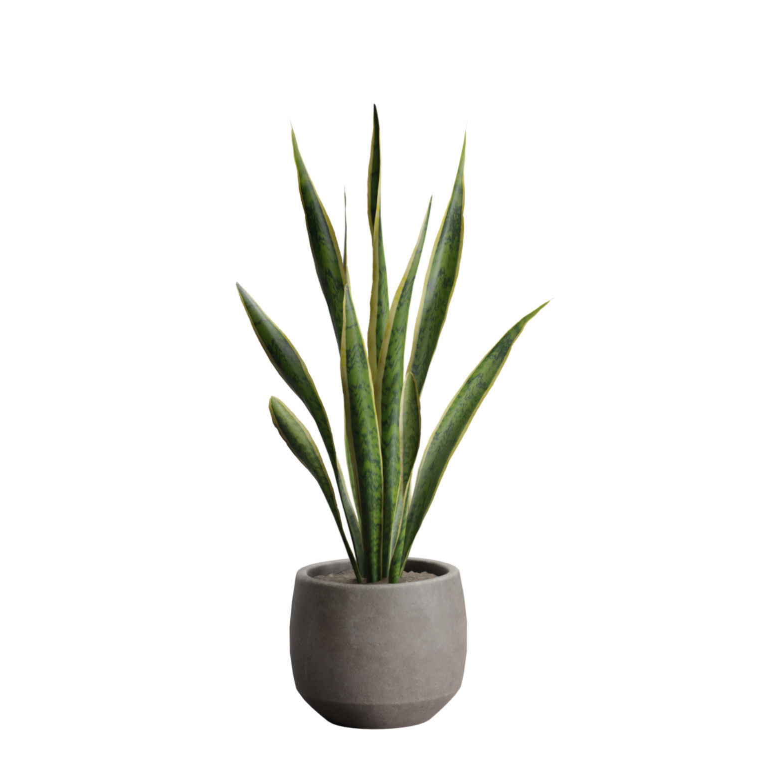 Indoor Plants Pack 46 3D model_11