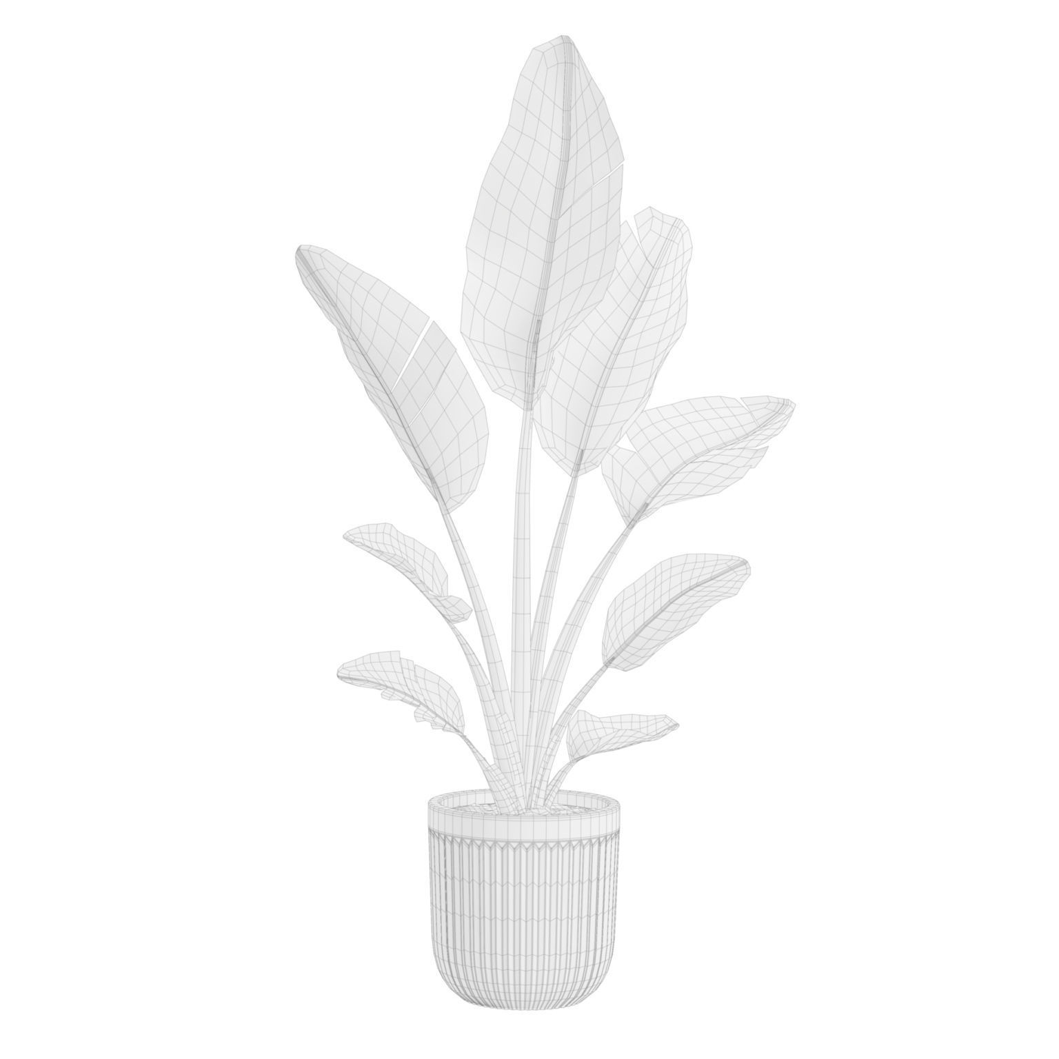 Indoor Plants Pack 46 3D model_6