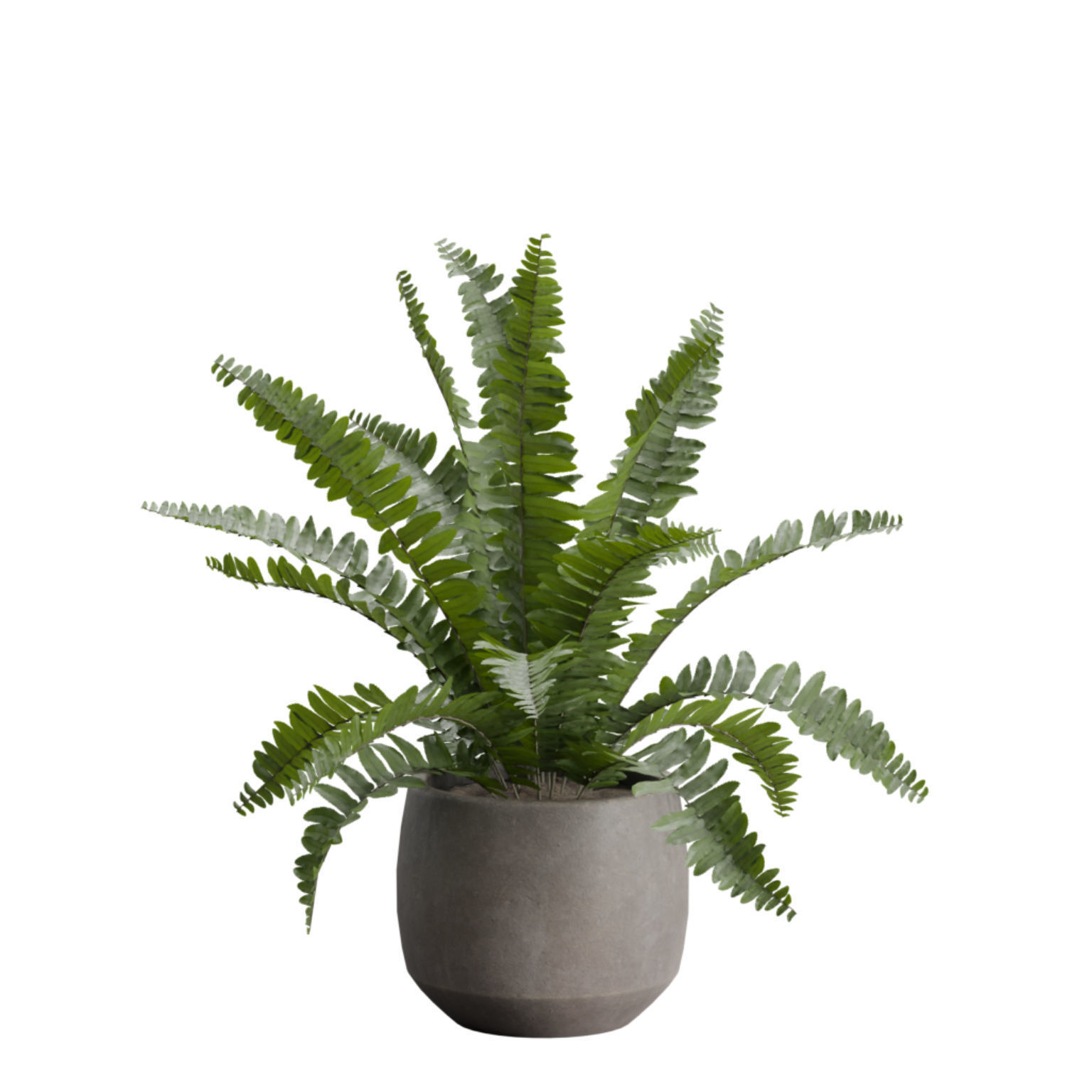 Indoor Plants Pack 46 3D model_7