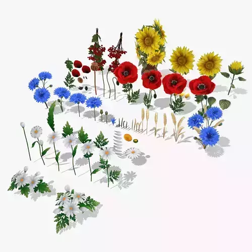 Pack Stylized handpainted wild flowers