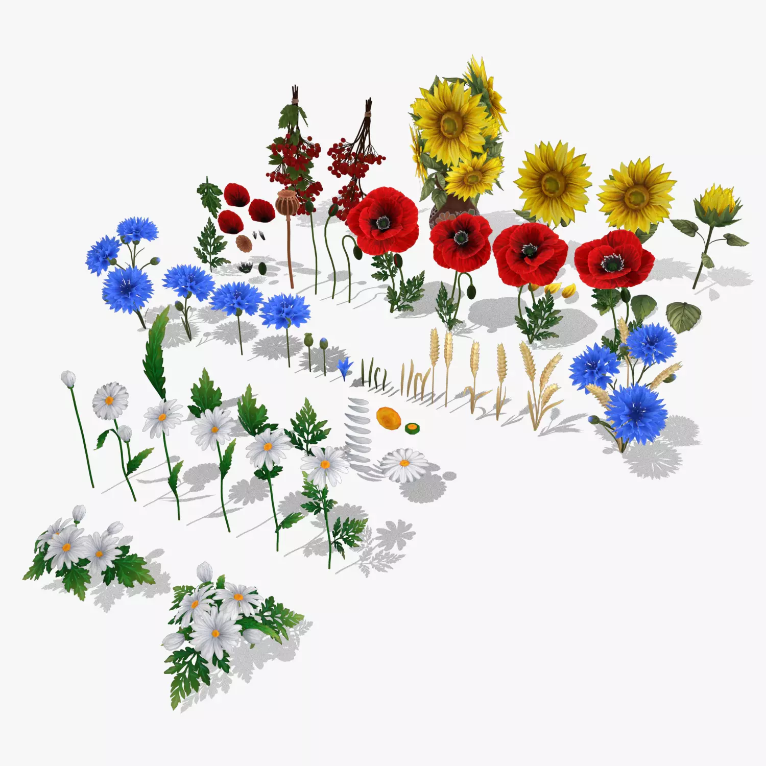 Pack Stylized handpainted wild flowers Low-poly 3D model