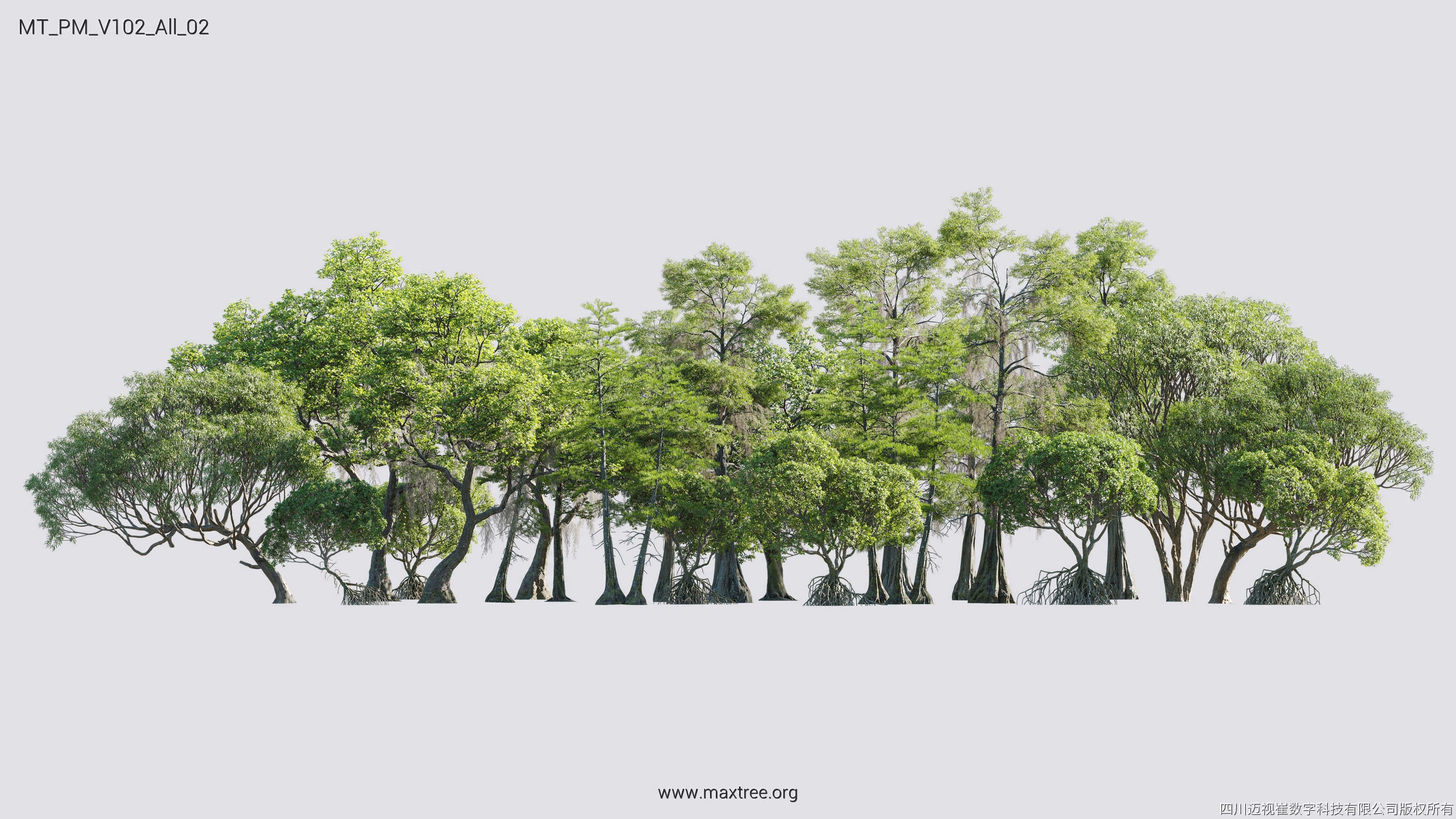 Maxtree Plant Models Vol 102 - Mesh 3D model_8
