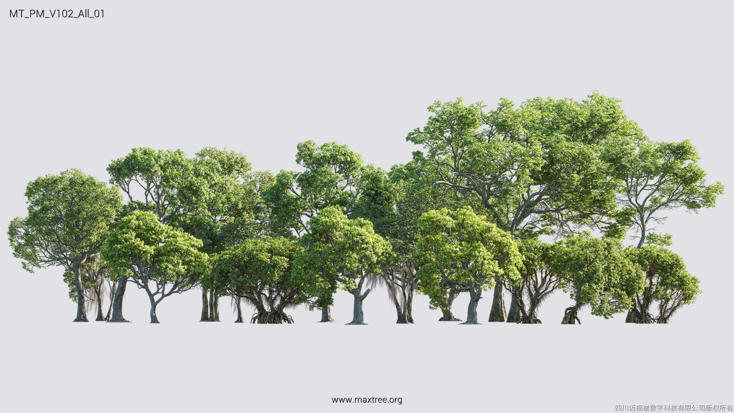 Maxtree Plant Models Vol 102 - Mesh 3D model_7