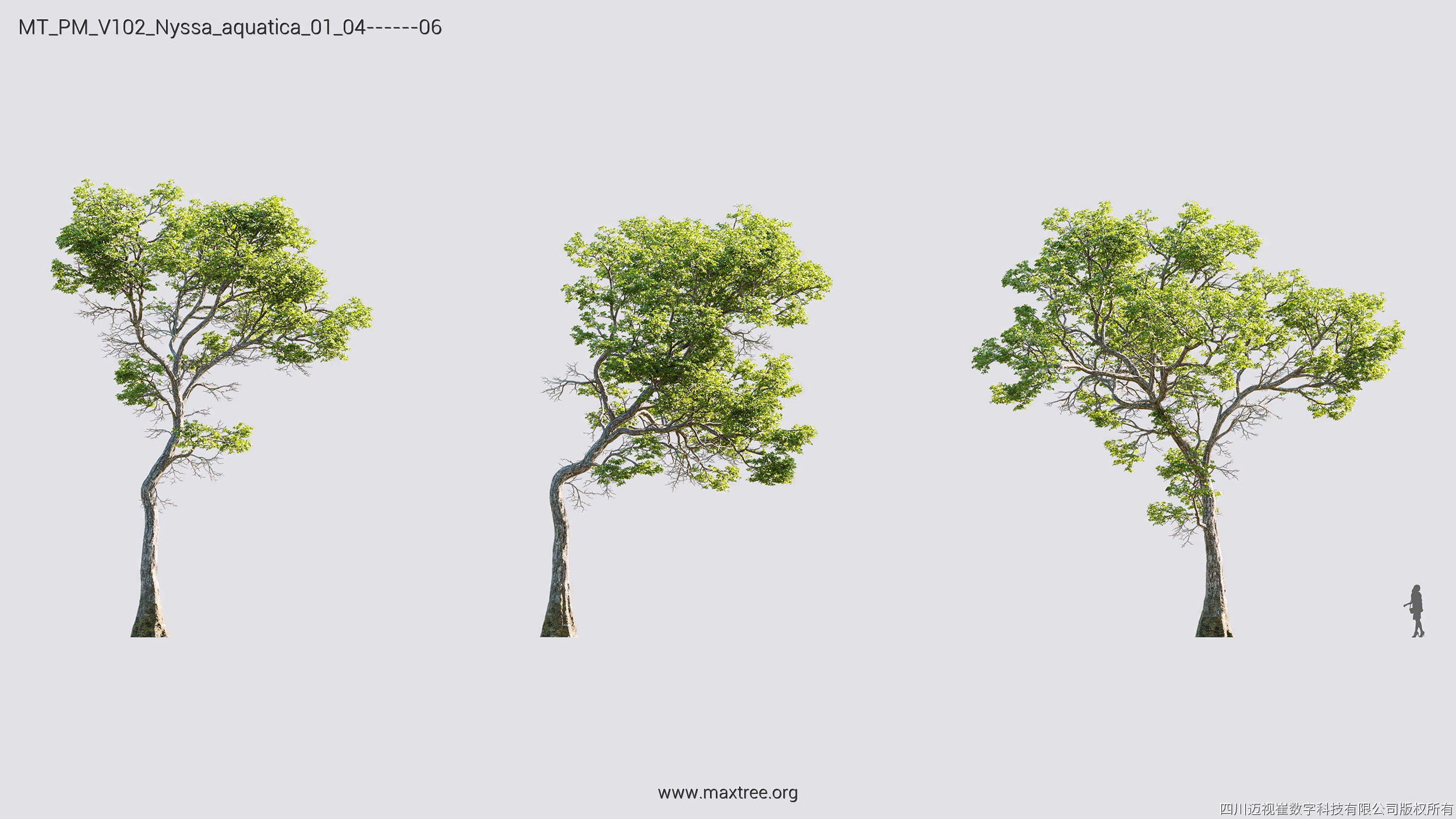 Maxtree Plant Models Vol 102 - Mesh 3D model_22