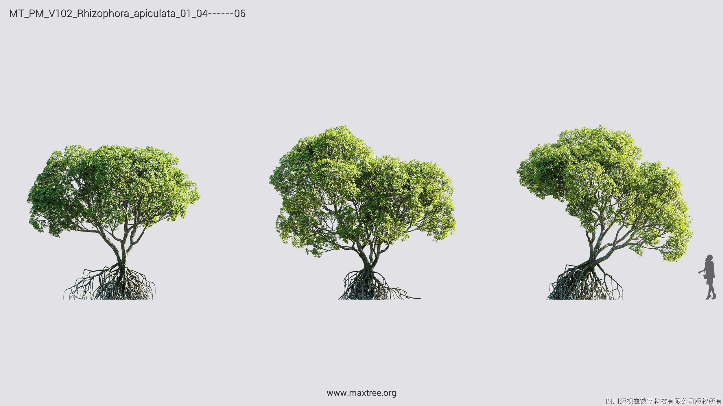 Maxtree Plant Models Vol 102 - Mesh 3D model_28