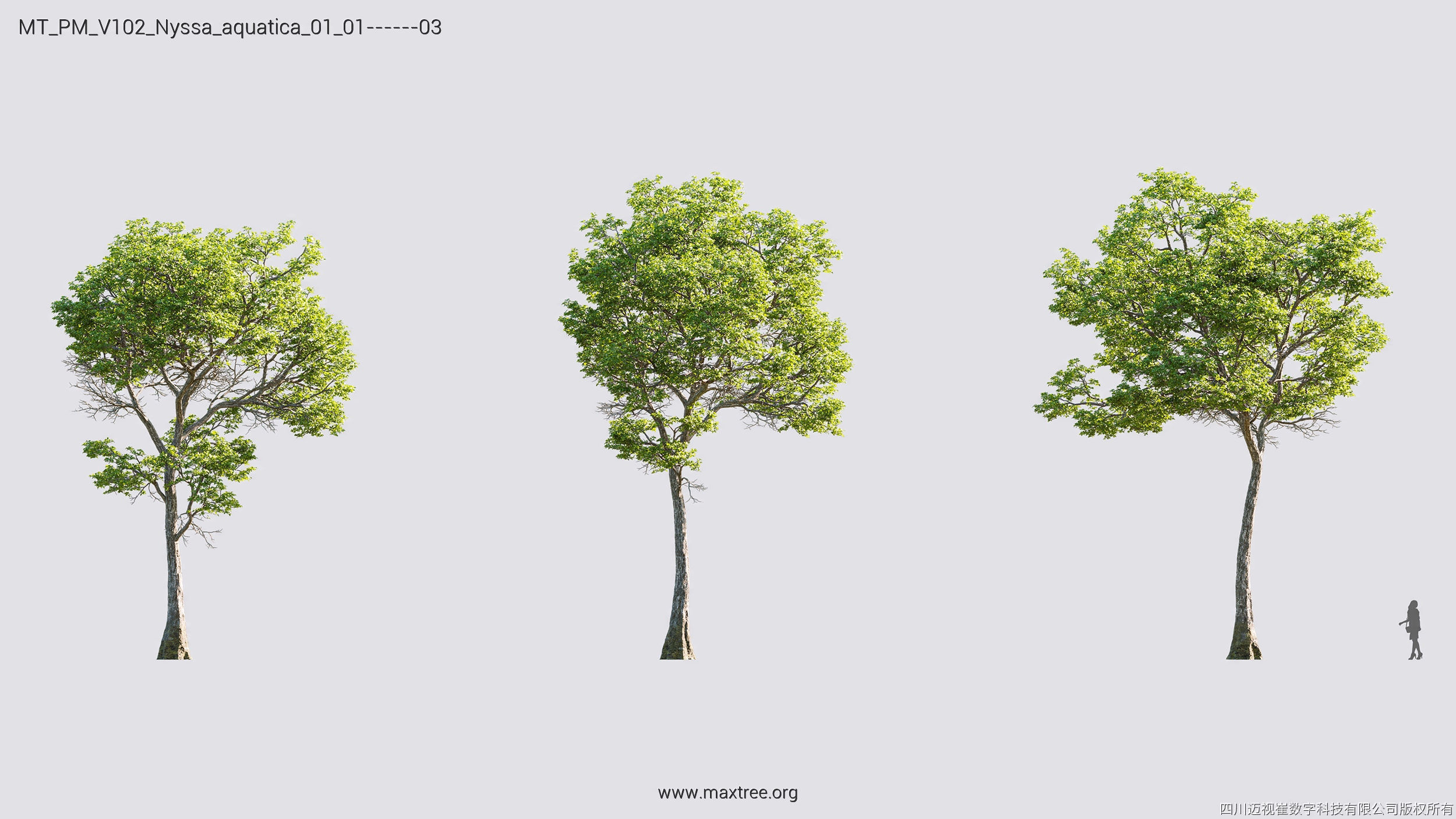 Maxtree Plant Models Vol 102 - Mesh 3D model_21