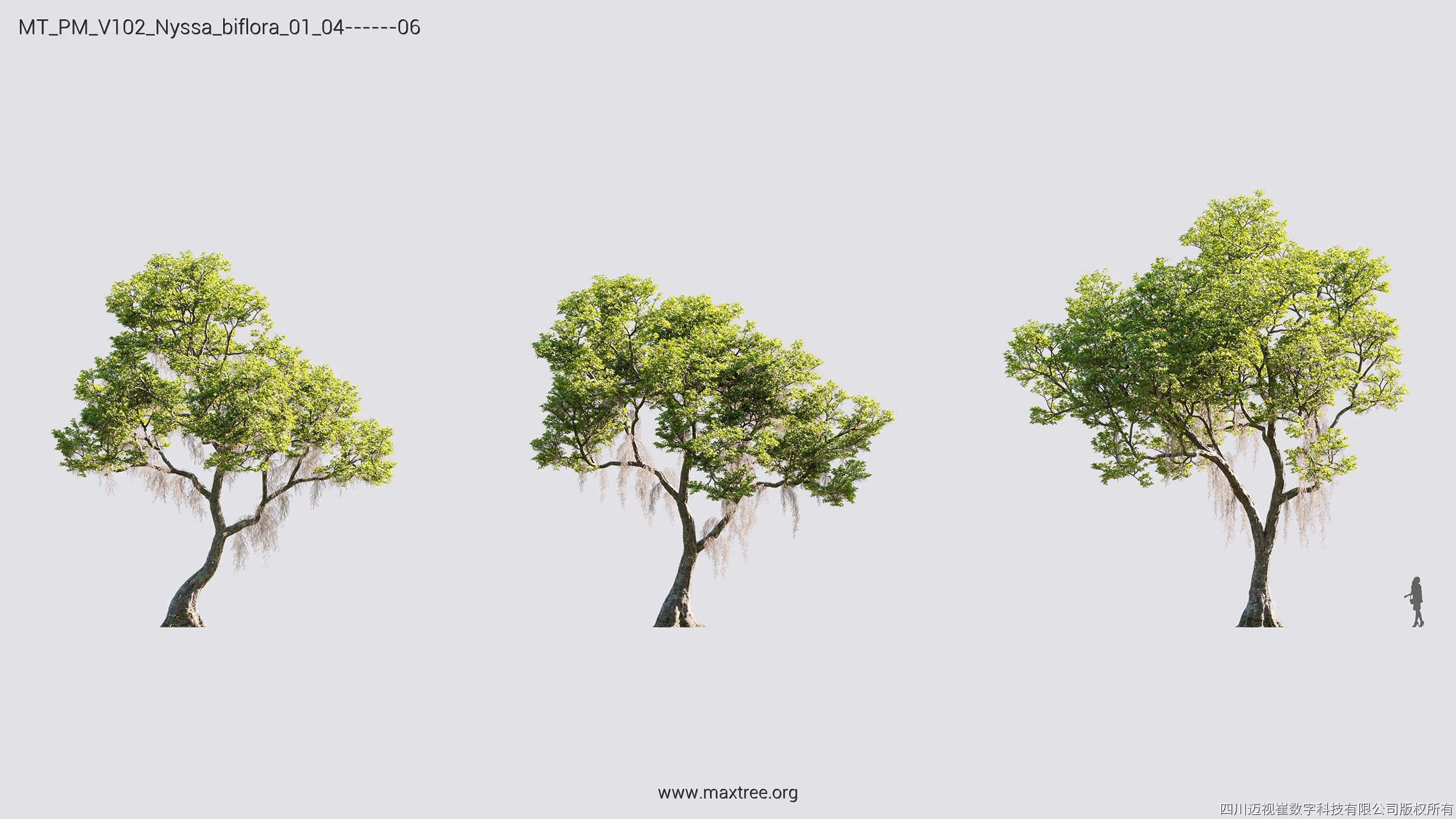 Maxtree Plant Models Vol 102 - Mesh 3D model_24