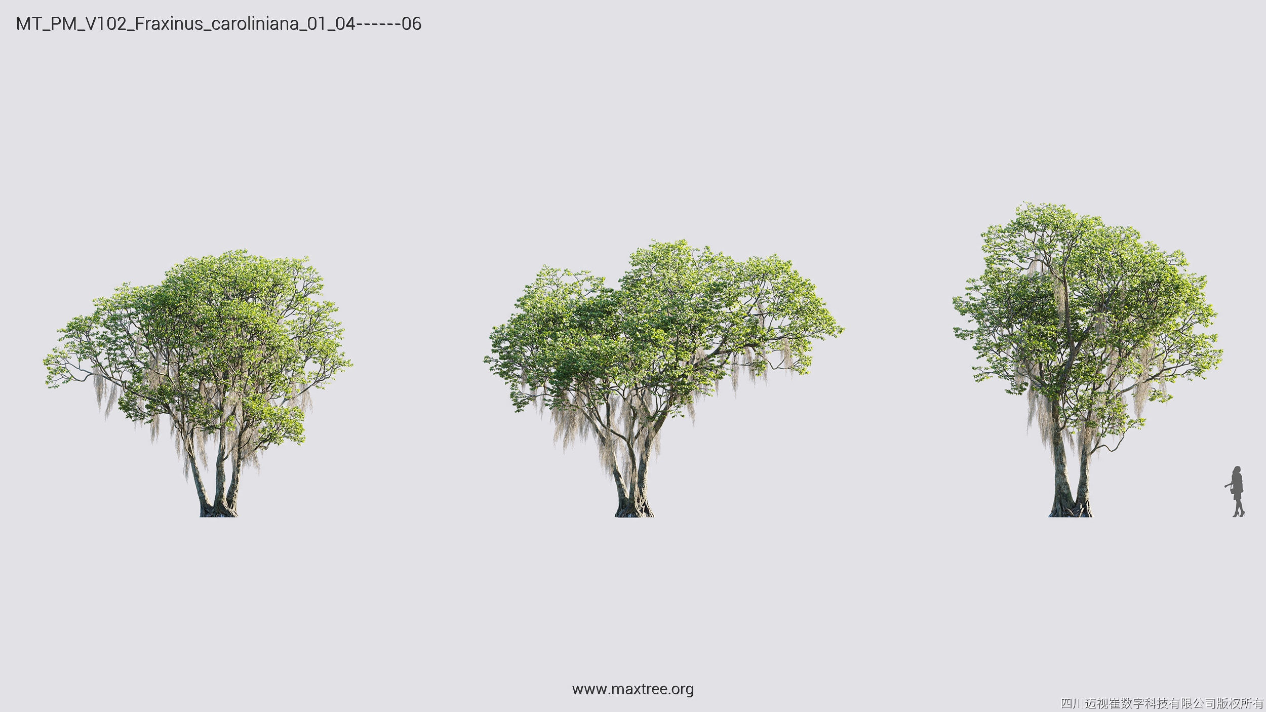Maxtree Plant Models Vol 102 - Mesh 3D model_18