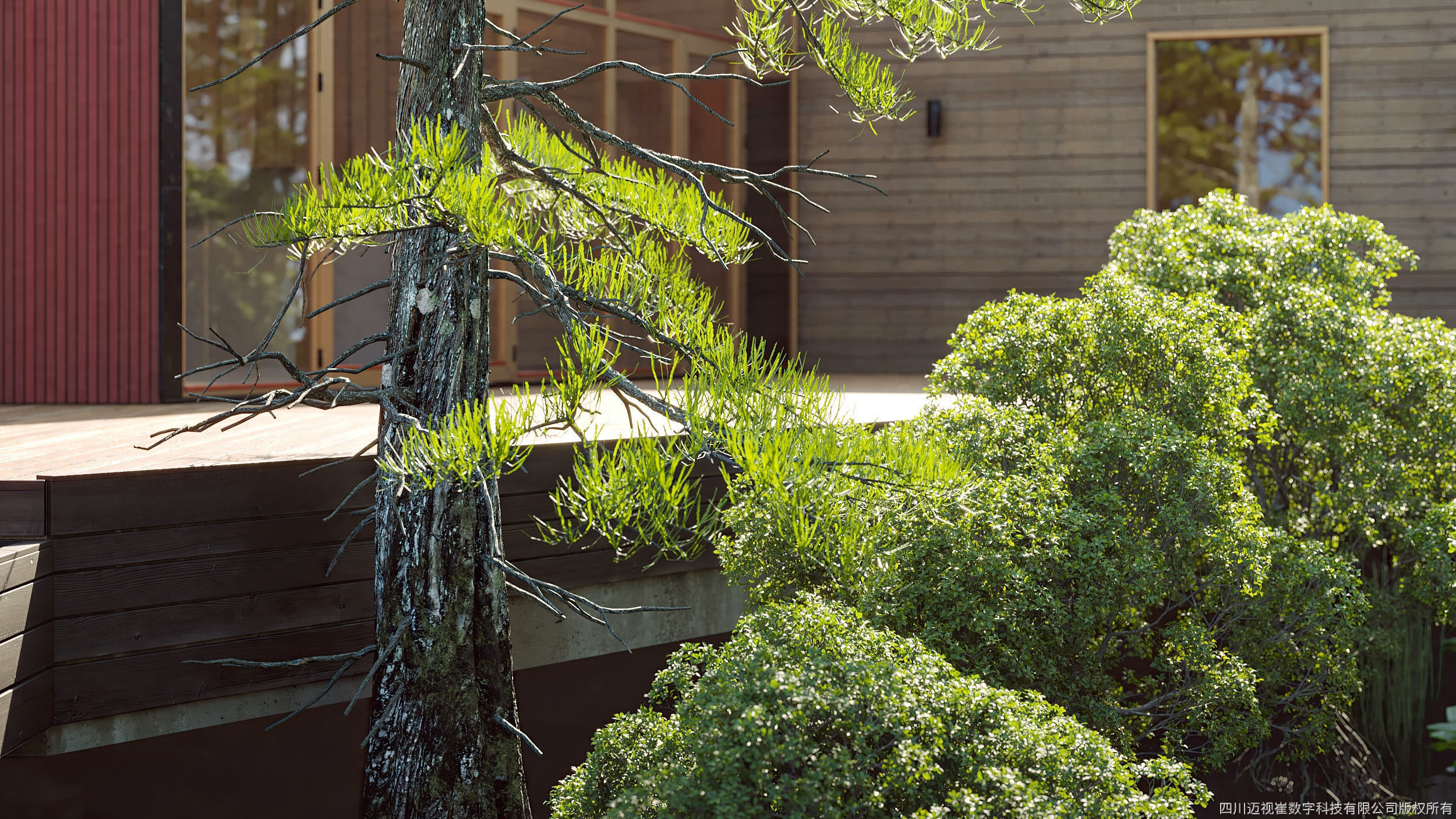 Maxtree Plant Models Vol 102 - Mesh 3D model_5