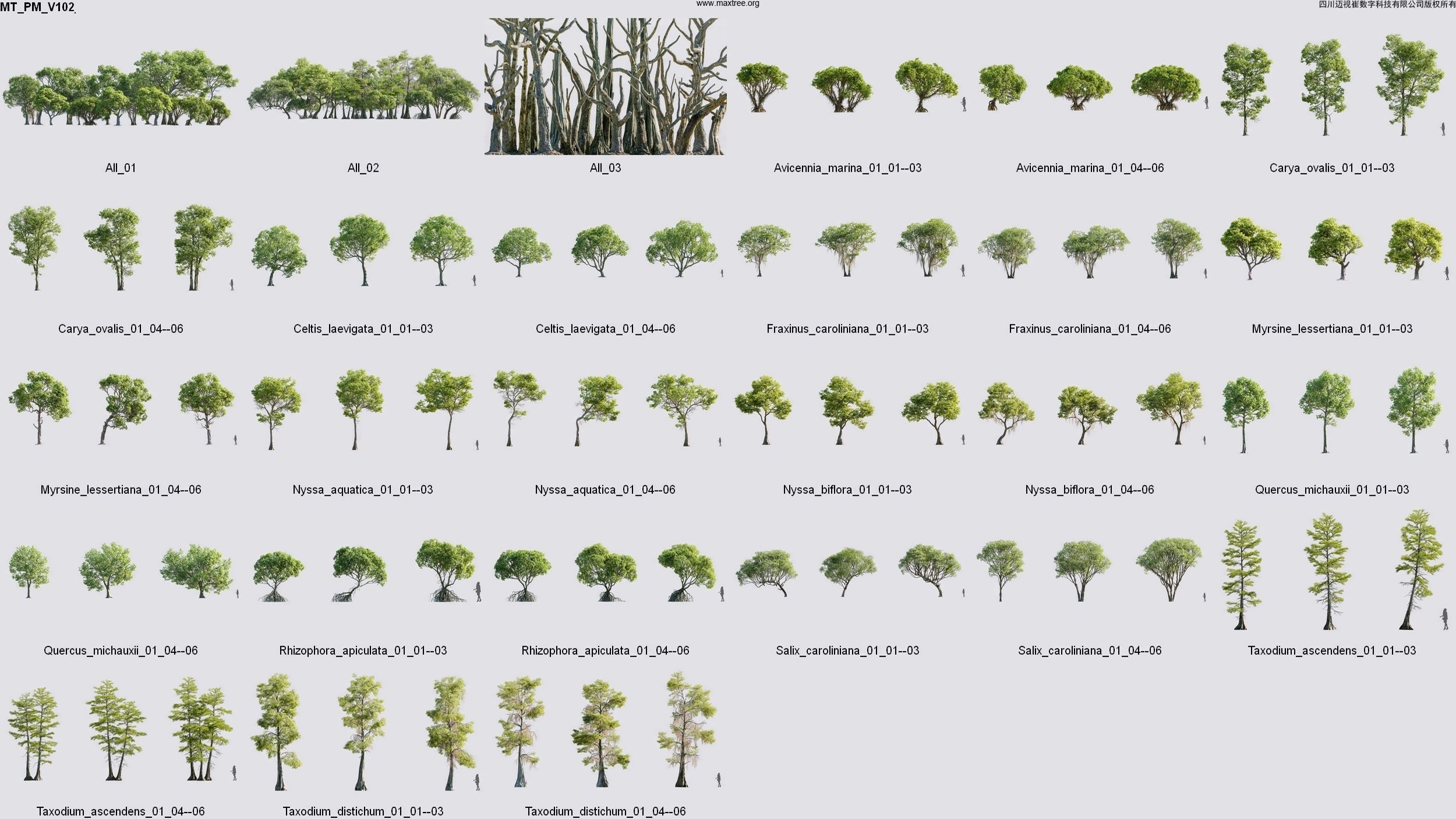Maxtree Plant Models Vol 102 - Mesh 3D model_10