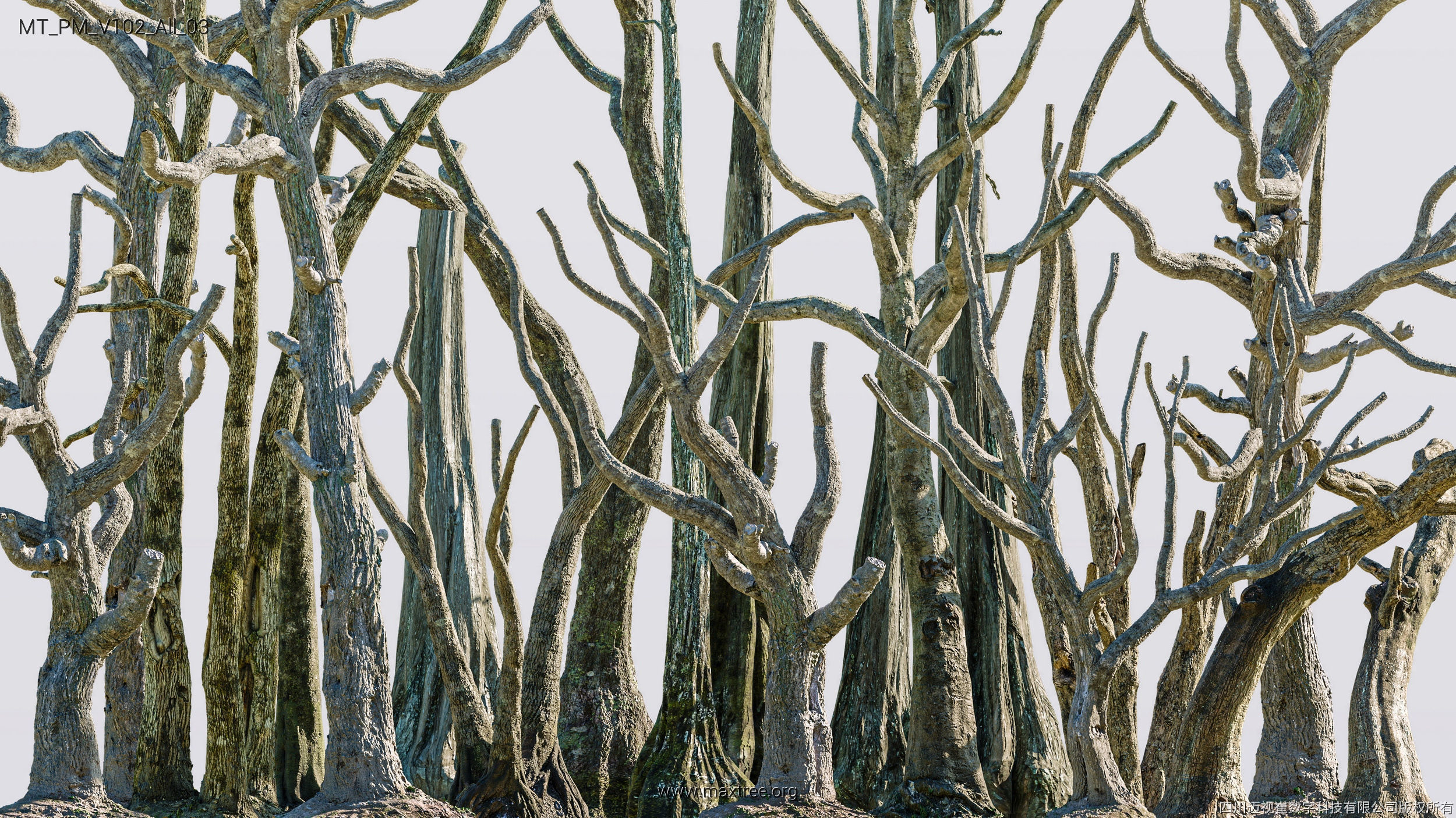 Maxtree Plant Models Vol 102 - Mesh 3D model_9