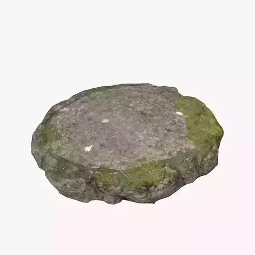 Mossy stone