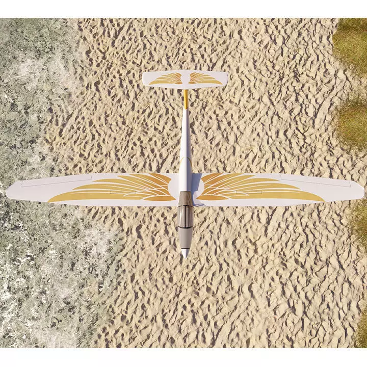 GOLD EAGLE PLANE 3D model