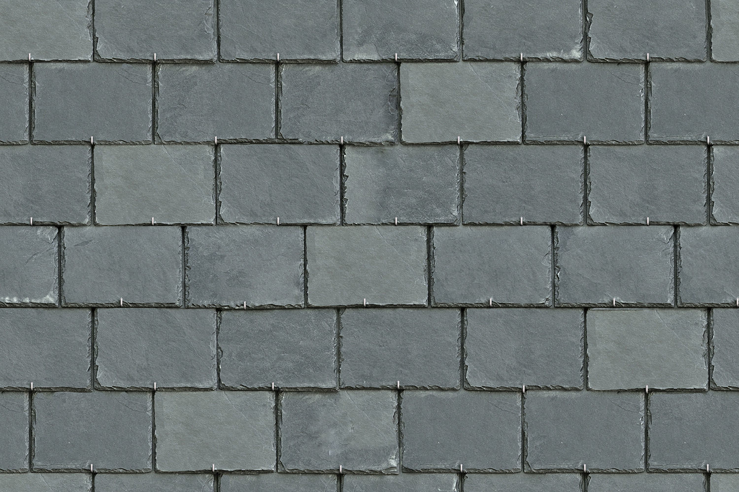 Luxurious and beautiful one story villa 3D print model_8