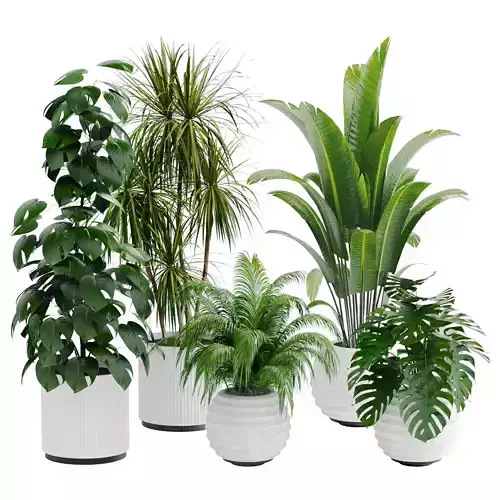 Plant set 01
