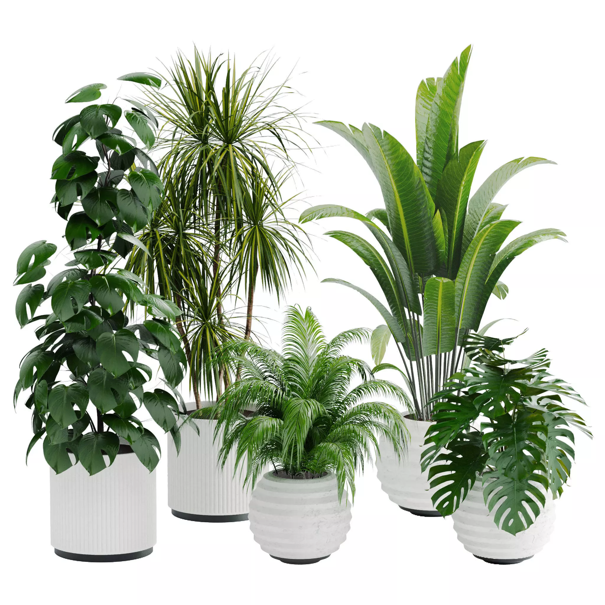 Plant set 01 3D model_0