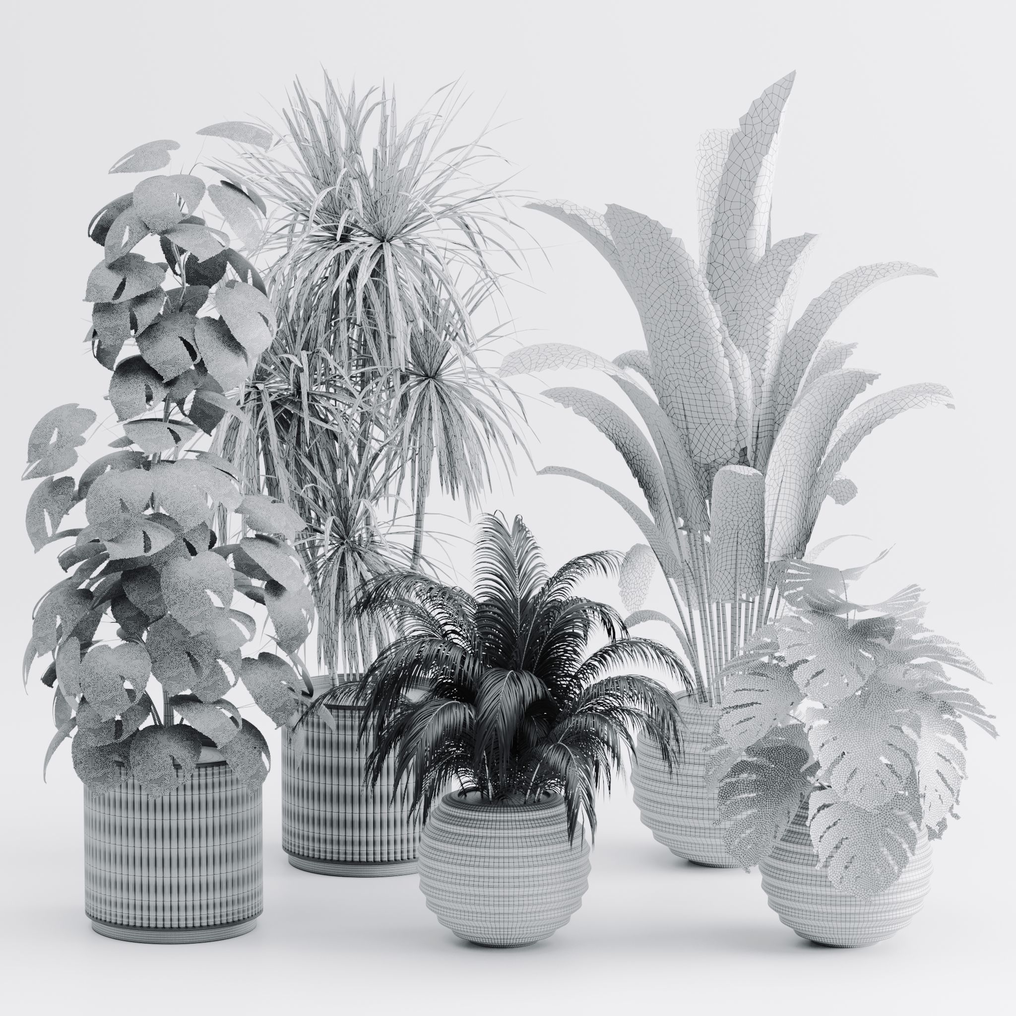 Plant set 01 3D model_3