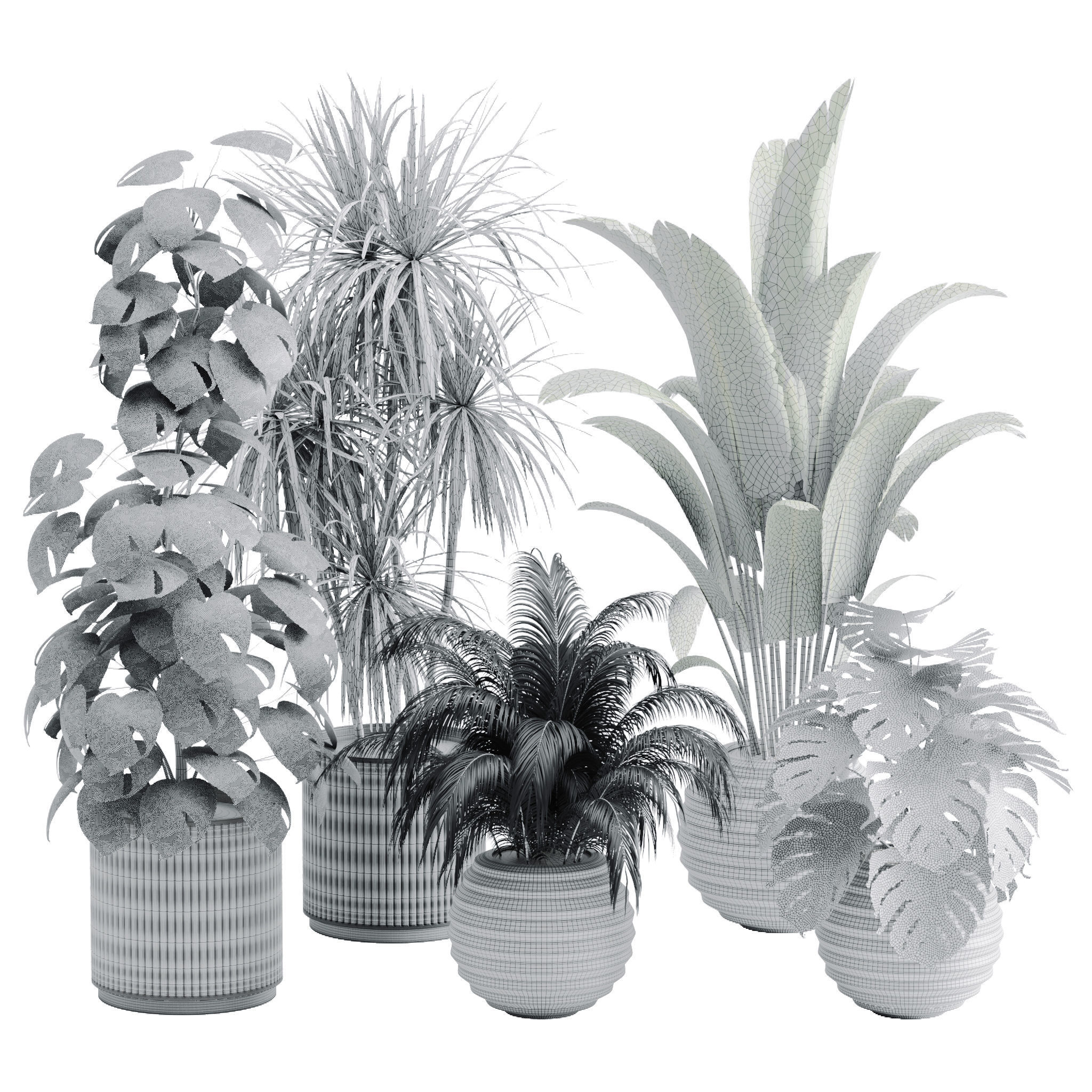 Plant set 01 3D model_1