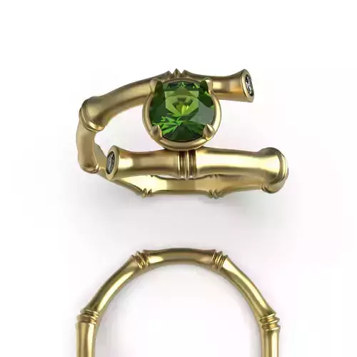 Bamboo Ring R 37 3D print model