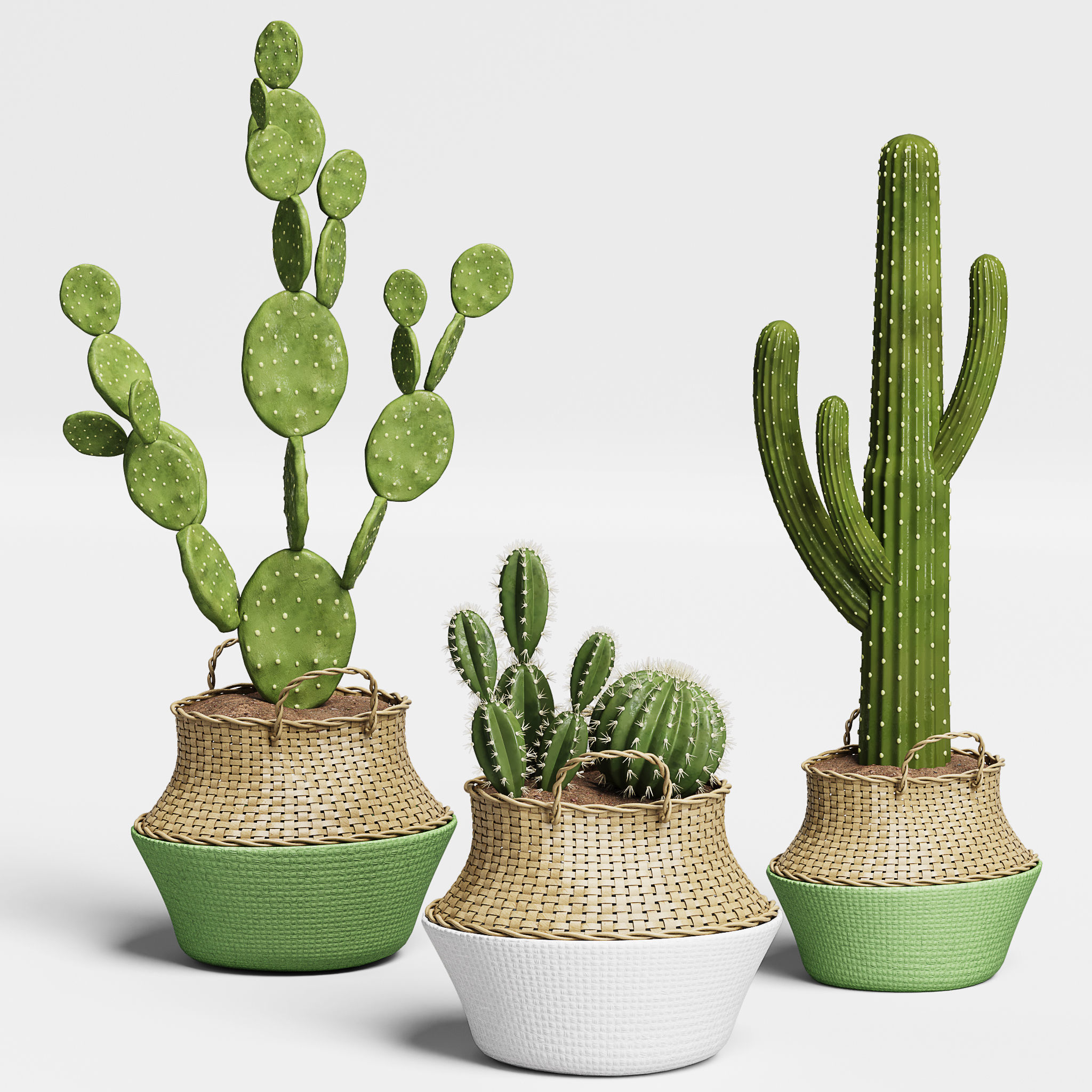 Indoor Plant Set 13-Cactus 3D model_1