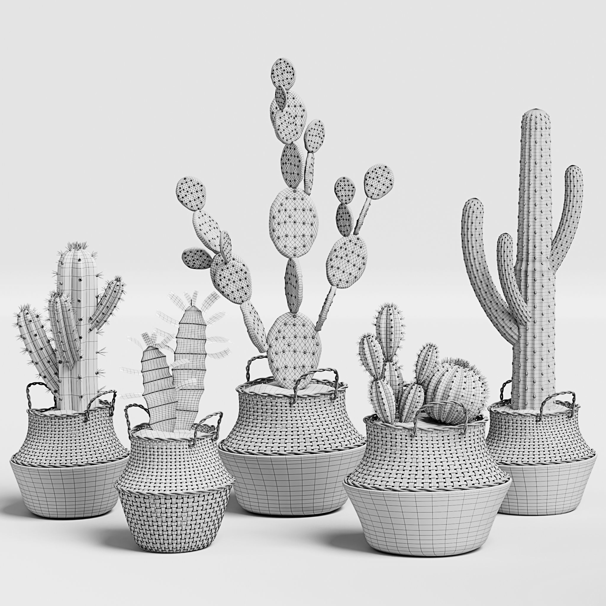 Indoor Plant Set 13-Cactus 3D model_3