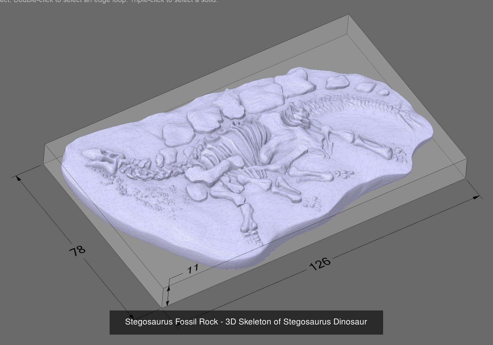 3D Dinosaurs Skeleton Bones 3D Model Collection_1