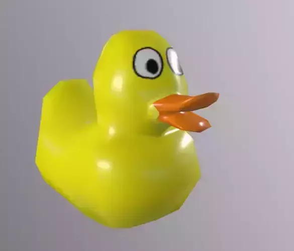 Plastic Duck