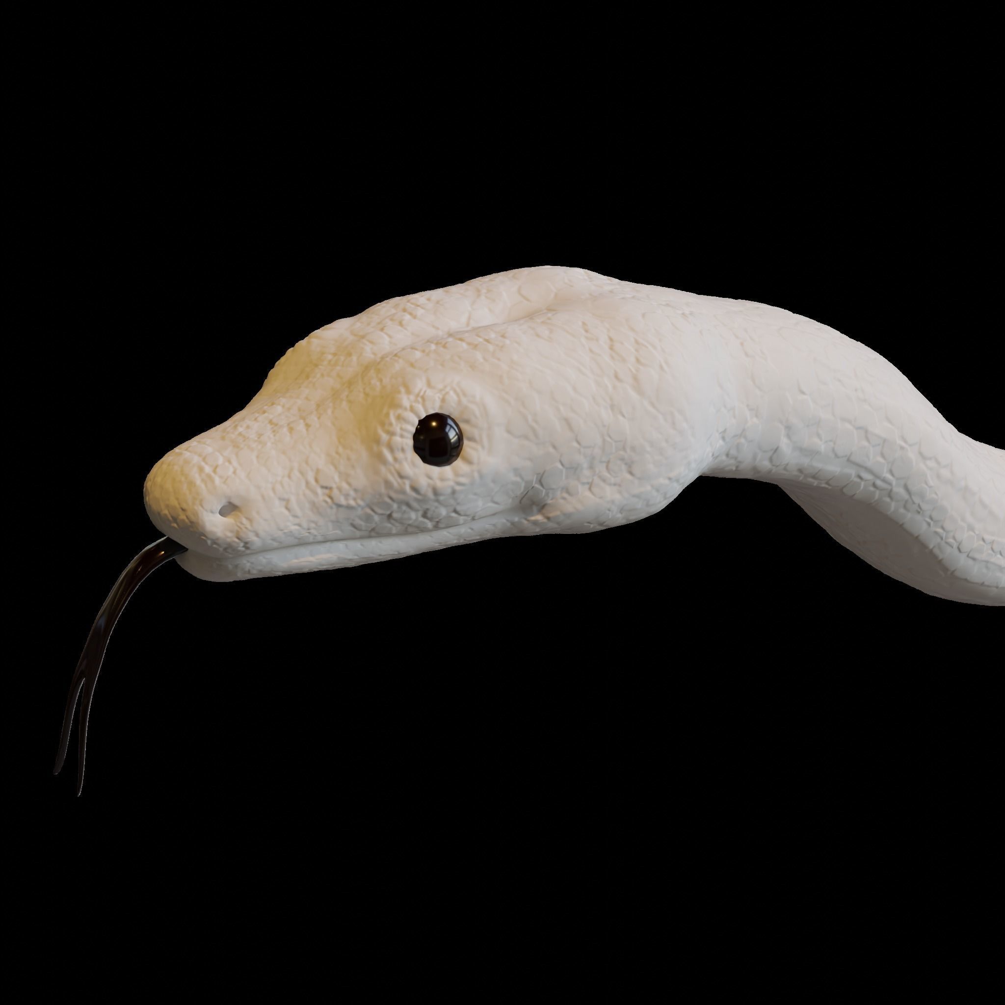 Snake Heads 3D print model red-tailed boa 3D print model_10