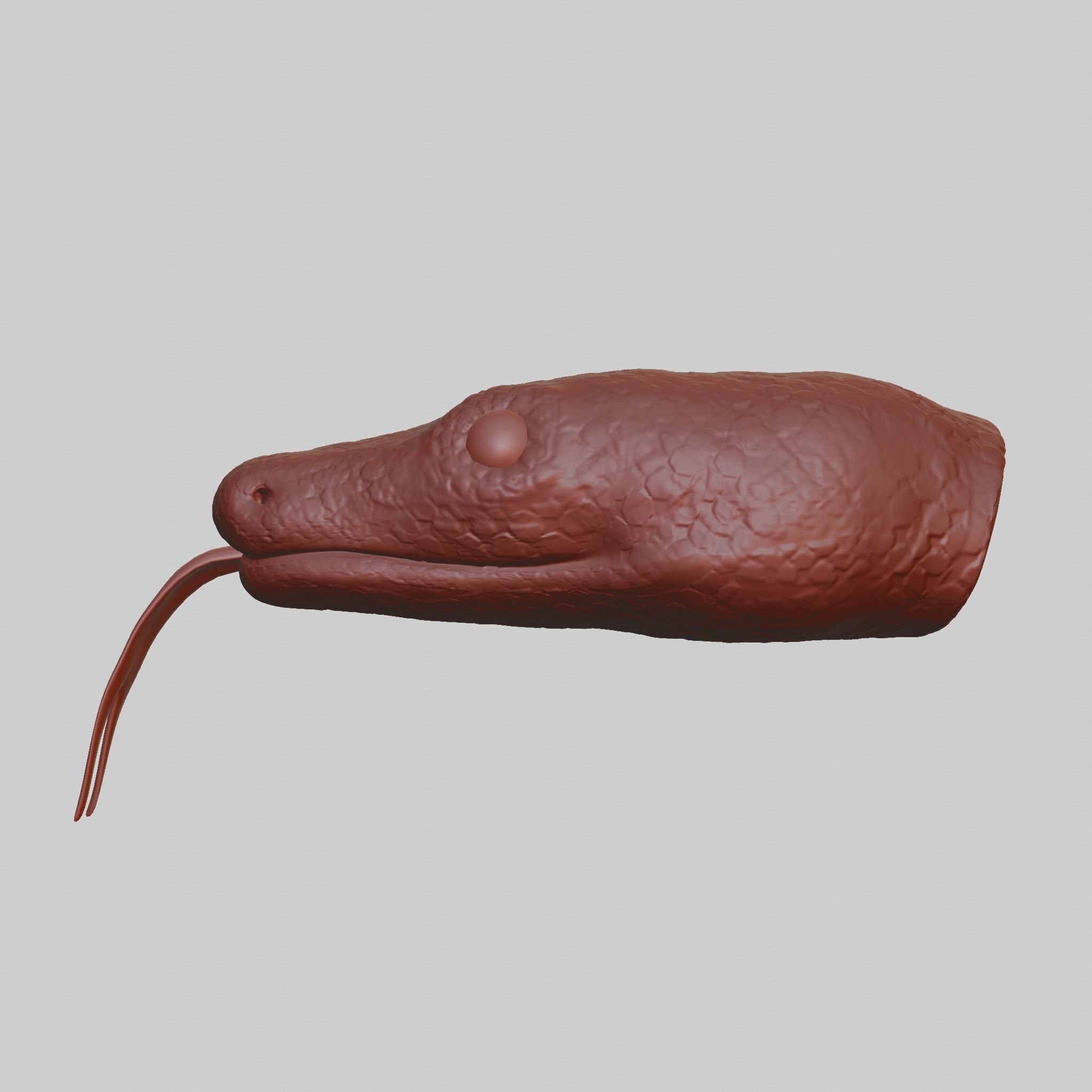 Snake Heads 3D print model red-tailed boa 3D print model_3