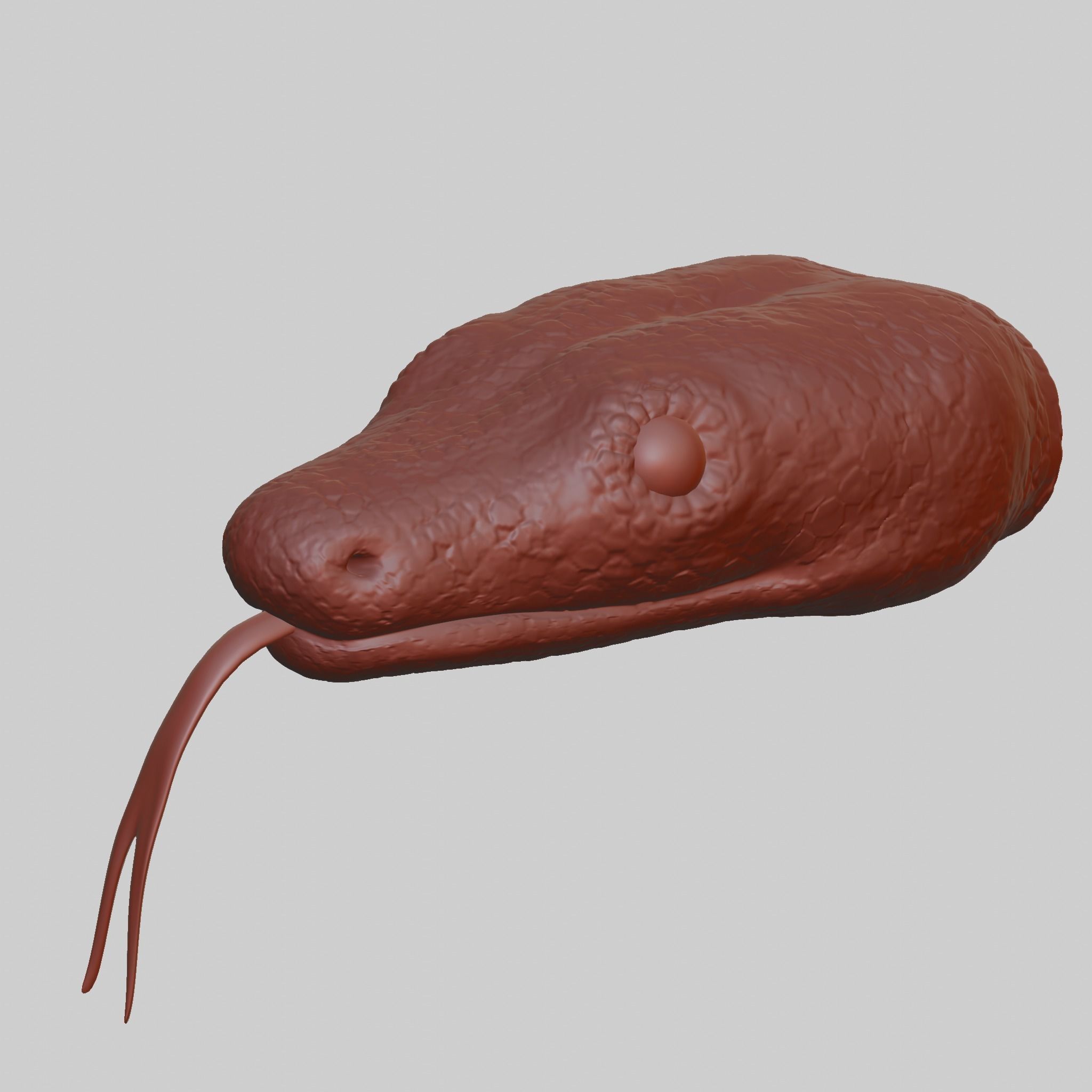 Snake Heads 3D print model red-tailed boa 3D print model_2