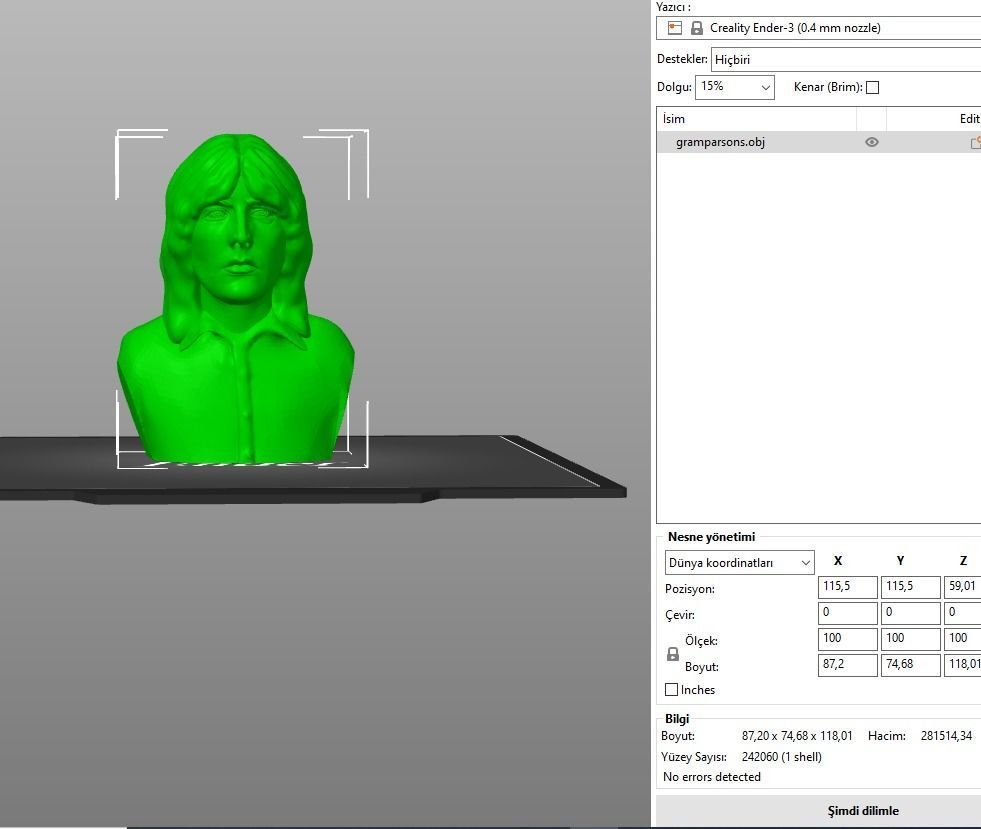 Gram Parsons 3D print model_10