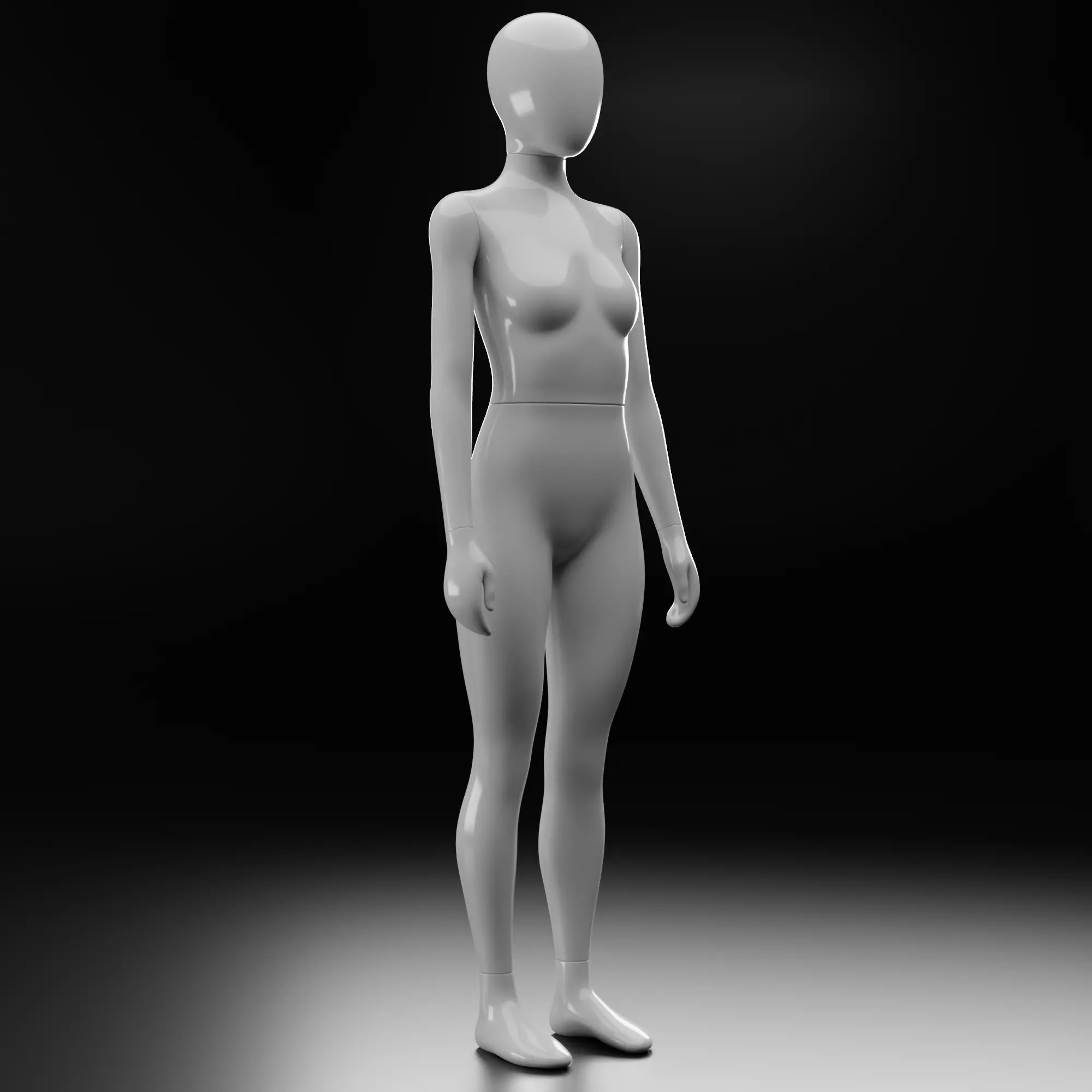 Female Mannequin 3D model_0