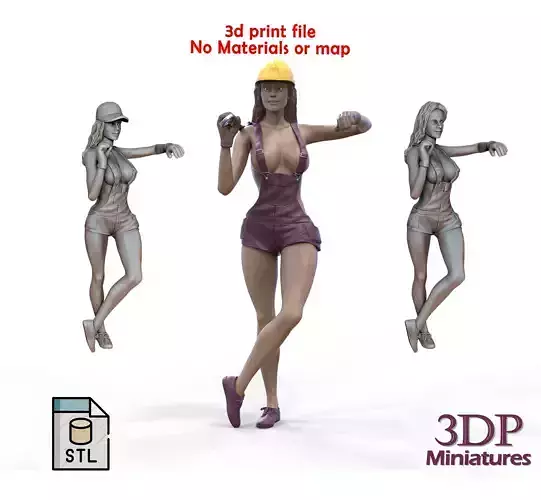 N2 woman Mechanic or construction worker