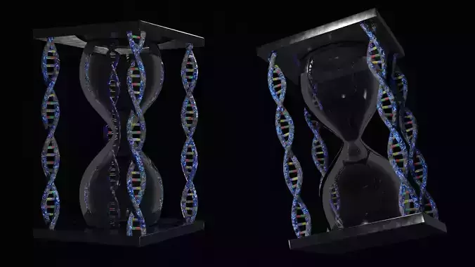 Hourglass - DNA Low-poly 3D model Hourglass - DNA Low-poly 3D model