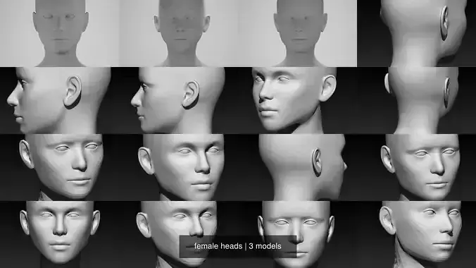 female heads 3D Model Collection