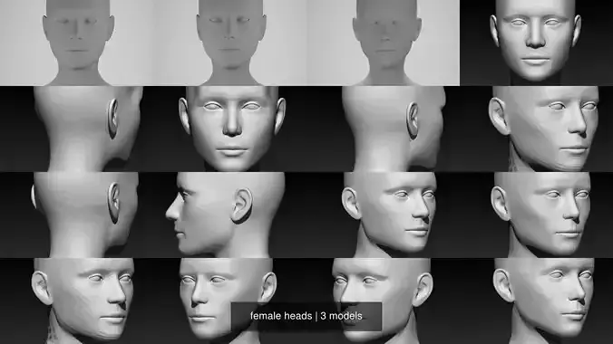 female heads 3D Model Collection