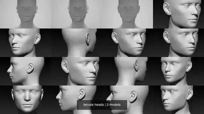 female heads 3D Model Collection
