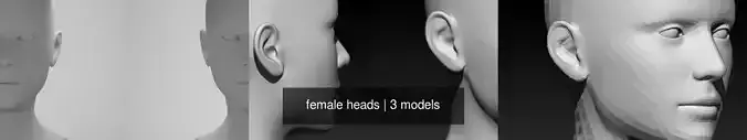 female heads 3D Model Collection