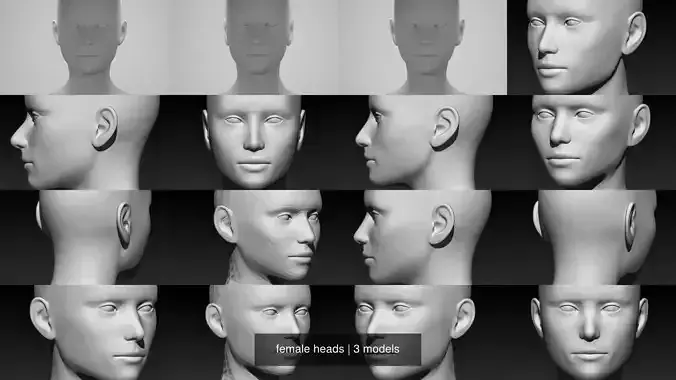 female heads 3D Model Collection