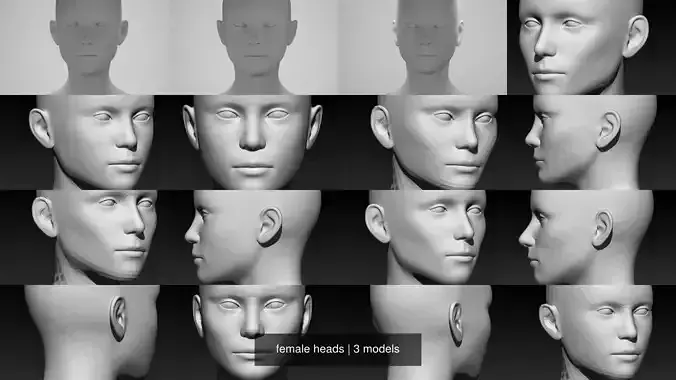 female heads 3D Model Collection