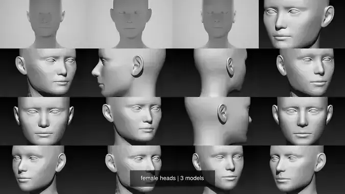 female heads 3D Model Collection