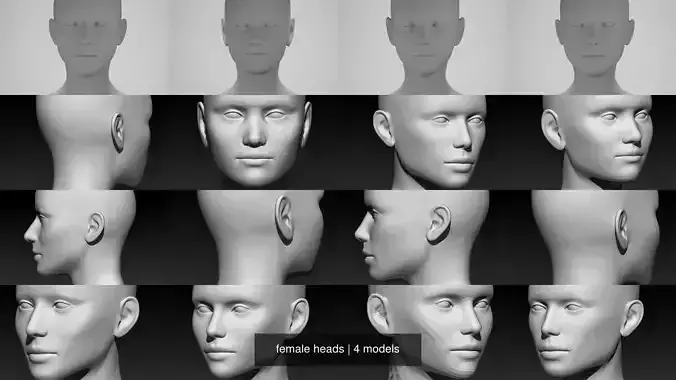 female heads 3D Model Collection