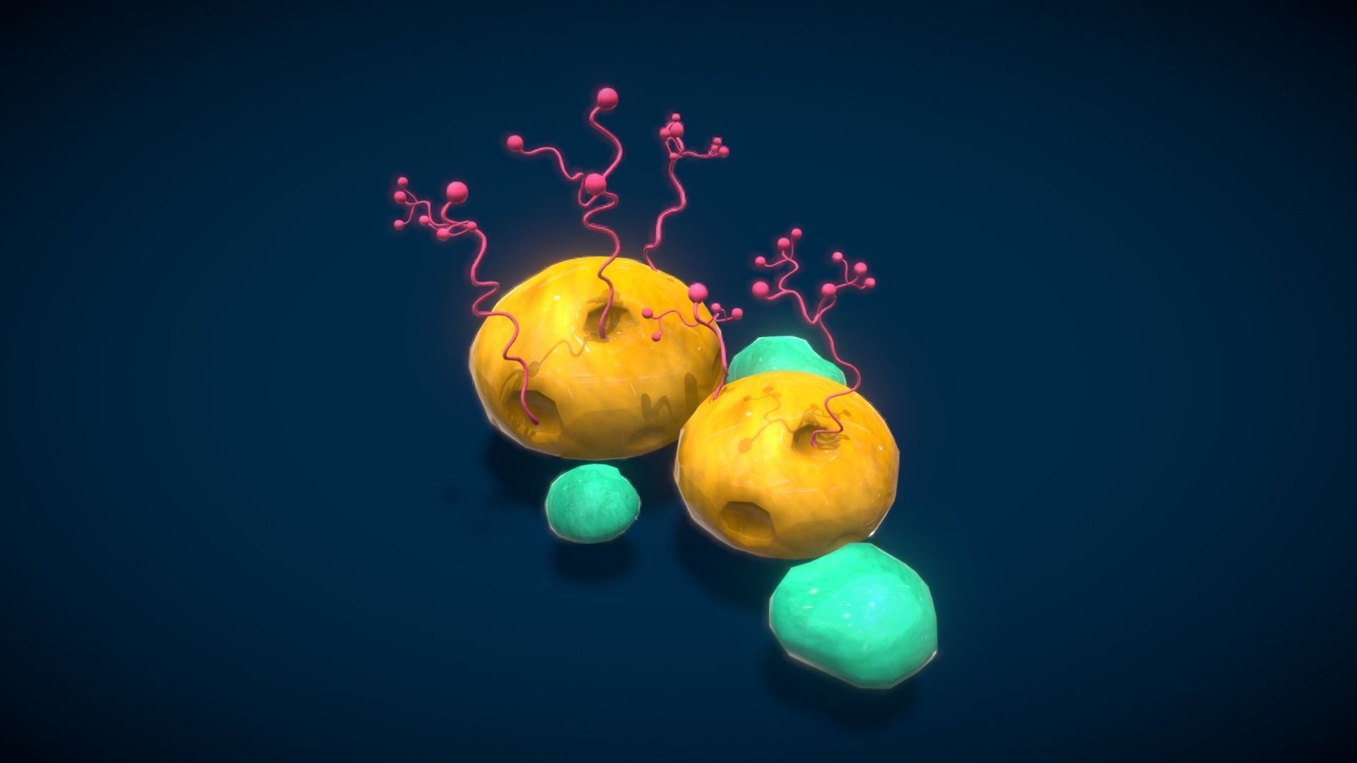 Cartoon Seaweed 4 Low-poly 3D model_17