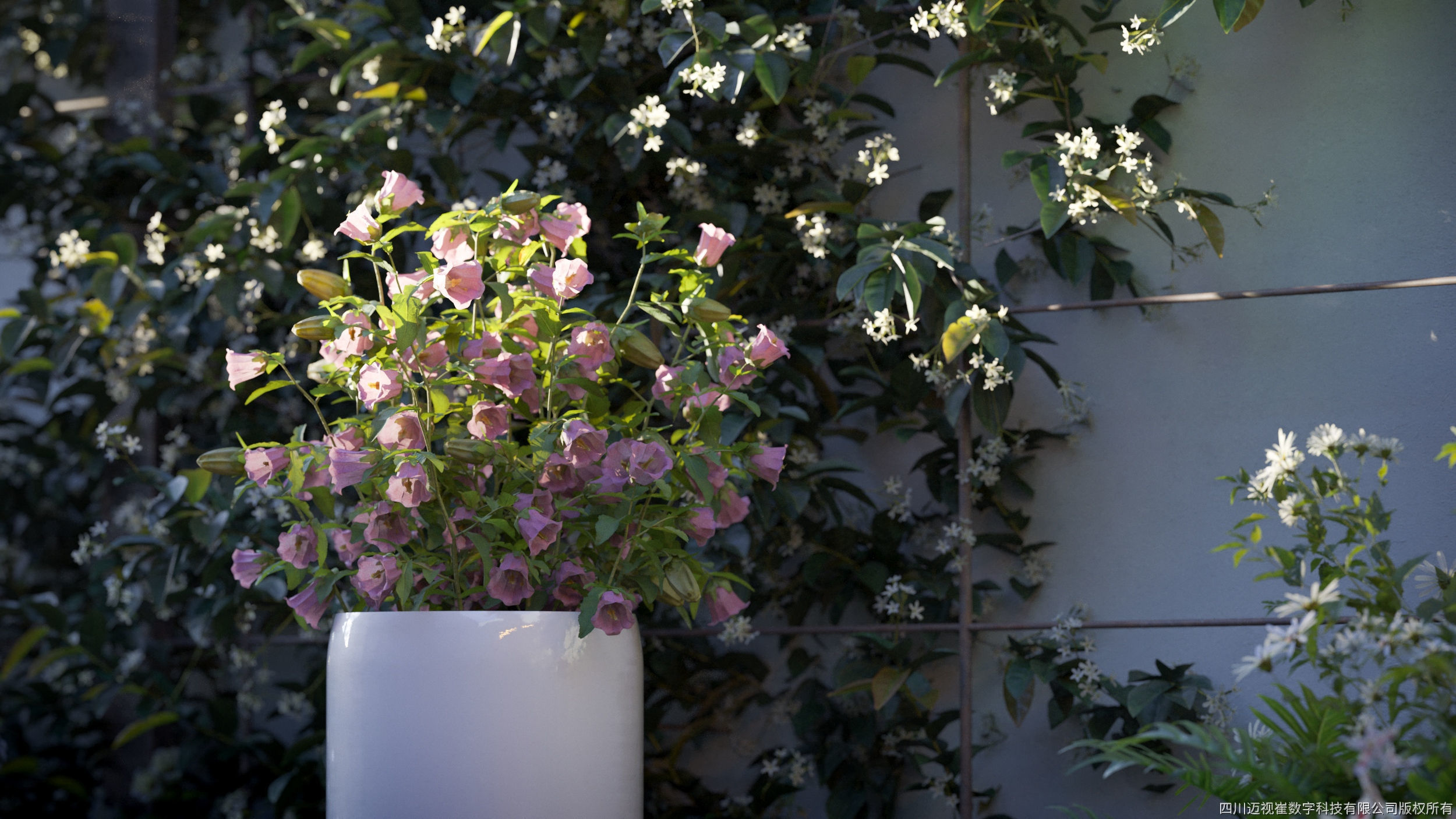 Maxtree Plant Models Vol 105 - Mesh 3D model_2